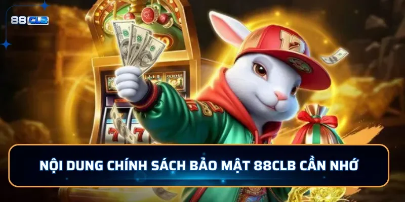 Nội dung trong chính sách miễn trừ trách nhiệm tại 88